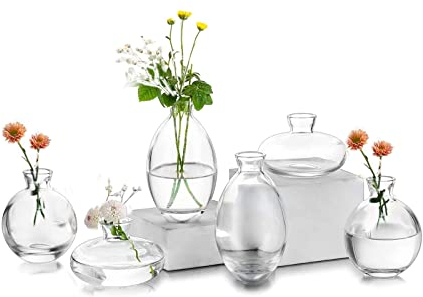 EylKoi Bud Vases Glass Mordern - 2sets(6Pcs) Clear Small Vases for Centerpieces, Small Vase Mini Vases Flower Vase Mini Tiny Vases for Home Decor Wedding Decorative Centerpieces, Events Bookshelf