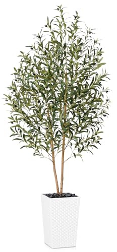 VeriNatural Artificial Olive Tree 6FT - Tall Faux Olive Trees with Natural Wood Trunk, Silk Leaves, White Taper Planter & Pebbles, UV Resistant Fake Plants Indoor for Home Decor, Office,Outdoor,VN131