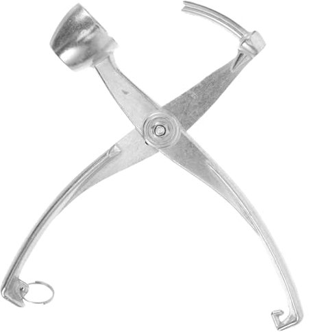 Mikikit Snocciolatore di Ciliegie in Metallo Leva Torsolo Compatto per Datteri Snocciolatore per Uso Domestico Accessorio da Cucina Riutilizzabile Pinza Resistente all Usura