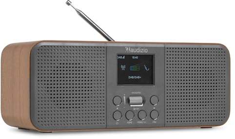 Audizio Bucine - Internetradio WLAN mit DAB Plus Radio, Bluetooth, 40 Watt Stereo Digitalradio, LCD-Farbdisplay, Wecker & Sleeptimer, Auto-Suchlauf, 3,5mm AUX, WiFi Radio Internet - Grau