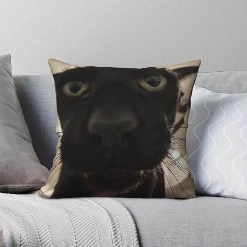 Evil Larry - Federa quadrata in poliestere e velluto con stampa a forma di gatto nero, con cerniera, decorativa, per la casa
