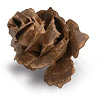 Sizzix 660035 Bigz Matrice Jumbo Pomme de Pin en Lambeaux par Tim Holtz Gris