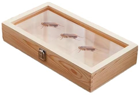 Peufcmi 3D Bilderrahmen Tief Objektrahmen Türvitrine Schaukasten, Anstecknadel Vitrine Aus, Rechteckig Präsentationsbox, Blumen Große Schattenbox Vitrine Rahmen, Schrank Broschen Sammlungsvitrine