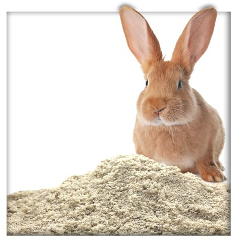 25 kg Buddelsand 0-1 mm für Kaninchen & Hasen, kantengerundet, lehmfrei, frei von Verunreinigungen & chemischen Zusätzen