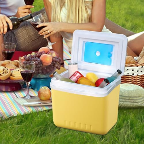 Kleine Kühlbox, Isolierte Kühlbox Chiller mit Griff, Outdoor Camping Gefrierbehälter, mit 1 Ics Boxen & 4 Packungen, Auslaufsicher, für Reisen Wandern BBQ