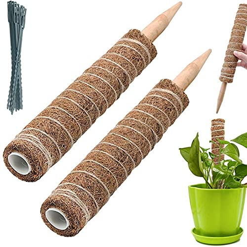 BECHOICEN 2Pcs Coir Totem Pole Plant Support, Moss Pole for House Plants, Cheese Plant with 20 Pieces Garden Cable Ties, 12inch