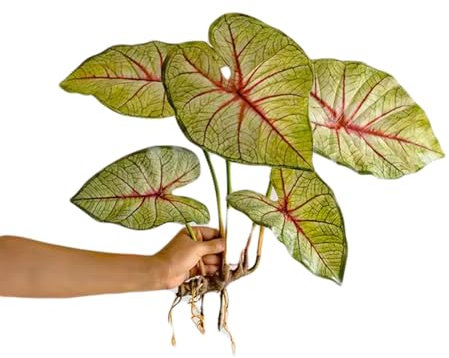 Artificial Plants Ferns Green Plants and Artificial Flowers with Roots Tropical Rainforest Decoration Forest Landscaping/356(D)