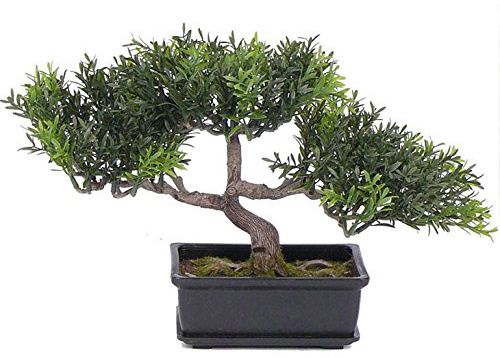 Künstlicher Teeblat Bonsai 23cm in dekorativer Schale mit 98 naturgetreuen Blattzweigen und Kunstmoos