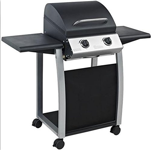 BARBECUE A GAS P.LAVICA LAMBADA 2 2 FUOCHI 116X55XH109 Art. 2446261