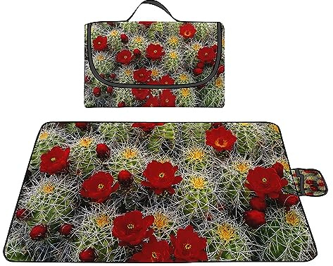 Manta de Picnic Flores de bola de cactus,200x300cm,Grande al Aire Libre Manta Picnic Impermeable,Colchoneta de Camping Plegable,Lavable a Máquina,para Fiestas de Picnic,Camping,Viajes al Aire Libre