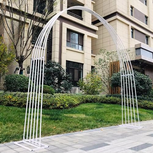 Arco di Palloncini con Struttura, per Laurea, Arco da Giardino per Rose Rampicanti, Sostegno per Piante Supporto in Metallo Decorazioni per Matrimonio e Patio ( Color : White , Size : 3.0*2.85m )