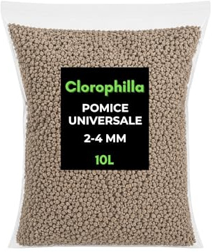 Clorophilla Pomice Vulcanica 2–4 mm per Piante – Inerte Naturale Drenante e Aerante – Substrato Professionale per Bonsai, Cactus, Succulente e Terrarium – Granulometria Fine – Made in Italy (10 Litri)