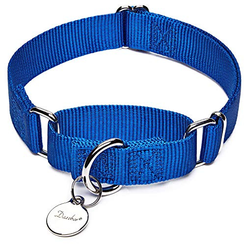 Dazzber Martingal Halsbänder für Hunde, Verstellbar Langlebig Kein Escape Stop Ziehen Hundehalsband Nylon für Große/Mittlere/Kleine Hunde (L, Blau)