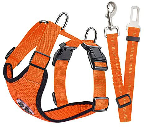 Hundegeschirr-Set, Hysami Haustierweste, Geschirr mit Sicherheitsgurt + verstellbarem Gummiband für Ausflüge (XXS, Orange)