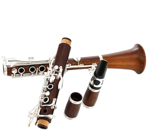 Klarinette Instrument Korpus Aus Palisander, Weißkupfer, Versilbert, Klappenklarinette, B-Klarinette Mit 17 Klappen, Mit Zubehör