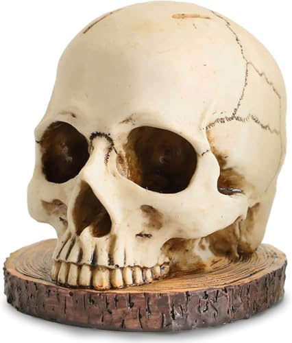 Porte-couteaux en forme de tête de mort pour cuisine, support de couteau squelette, support de rangement de fruits de cuisine, étagère de rangement de fruits de cuisine, décoration de fête effrayante,