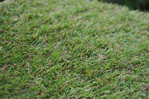 Césped Artificial Salzburg de 20 mm en rollos de 10x2 metros