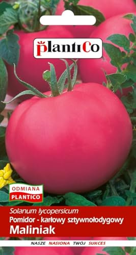 PlantiCo Pomodoro Lampone Maliniak 0,5 g semi Semi di pomodoro Semi di ortaggi robusti Semi di ortaggi Semi di coltivazione Serra Orto Orto