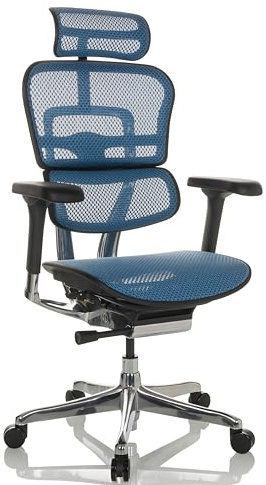 hjh OFFICE Bürostuhl ergonomisch ERGOHUMAN GEN2 Originales Design, 24h Einsatz Bürosessel mit Flexibler Lordosenstütze, Netz Blau