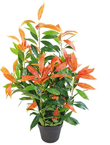 Leaf Artificial Ficus Tree/Plant, Photinia Red Green, 80cm