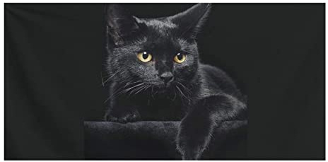 Showudesigns Schwarze Katzen Badetücher für Frauen Mädchen Geschenke Strandtuch Decke Entworfenes Badelaken für Bad, Strand, Pool, SPA Tägliche Nutzung