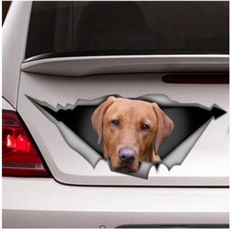 GAETOYEN Autoaufkleber Hund Personalisiert 21Cm（8.6 Inches） Aufkleber | Roter Labrador Aufkleber, Pet Aufkleber Lab Aufkleber, Hund Aufkleber, Red Fox Lab Auto Aufkleber(def1m5483)