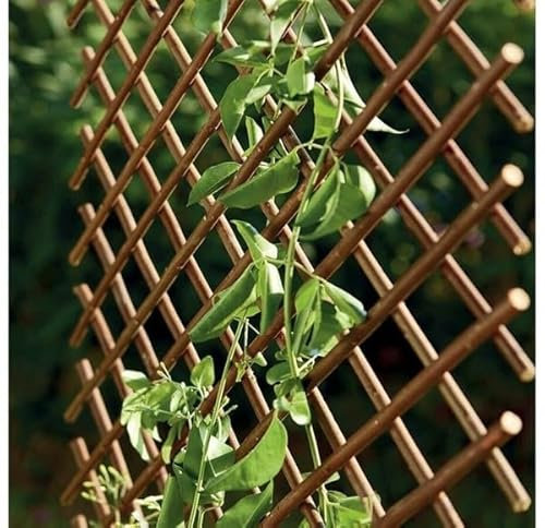 Celosía Extensible Mimbre |0.5x1.5 m |Soporte para Plantas trepadoras