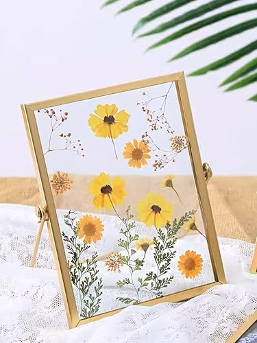 Namvo Torkad blomma präglad glas fotoram, mässingsglas konstverk certifikat foto bildvisning ram geometrisk prydnad växt prov klämma pressad blomma (torkade blommor ingår inte)