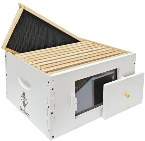 BeeTech Caja profunda de colmena de 10 marcos pintados para la venta con ventanas