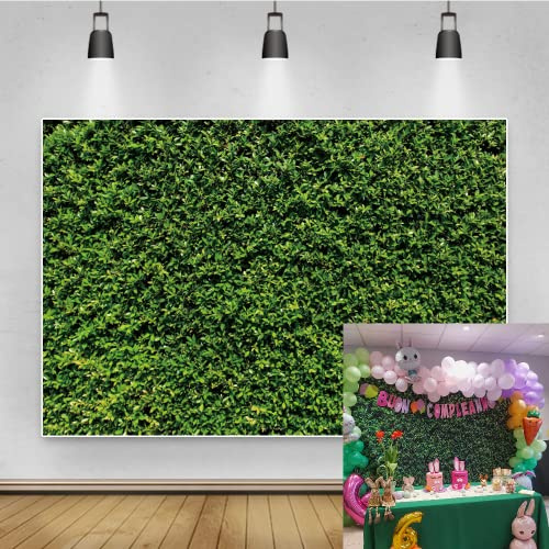 Renaiss 2.2x1.5m Primavera Hojas Verdes telón de Fondo Naturaleza Hierba Pared fotografía Fondo cumpleaños Boda Fiesta decoración decoración del hogar recién Nacido bebé Ducha Accesorios para Fotos