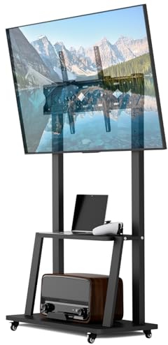 Duiliuu Tv Ständer Rollbar,Kippbar Fernsehständer mit Rollen, Bodenständer TV Wagen für 32-75 Zoll TV，Höhenverstellbar TV Ständer,Mobiler Tv-Standfüße, Max 50KG, Max Vesa 600x400