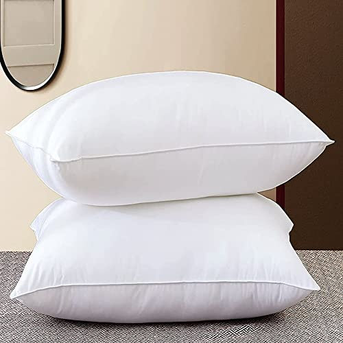 Adam Home Cushion Inserts 60cm x 60cm (24 x 24 inches) Quick Rebound Fluffy White Cushion Inner, Perfect Hollowfibre for Sofa Cushion Pads (Pack of 2)
