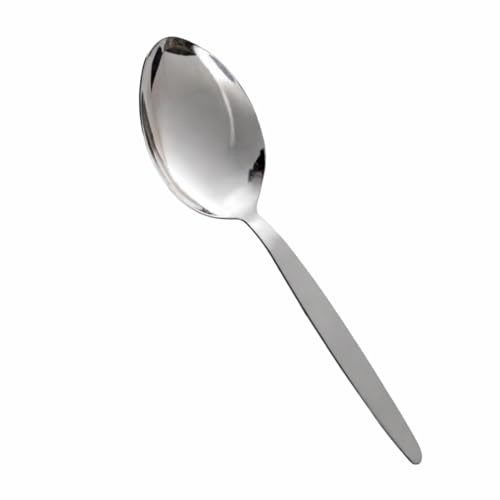 KNZ Stainless Steel Kitchen Spoon | Cooking, Serving & Basting Utensil