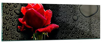 Panorama Bilder auf Glas Blume rote rose wasser tau Glasbild 90x30cm Wandbilder Dekoration Wohnzimmer Schlafzimmer Küche Klein Wanddeko Bild im Glas Wand Kunstdruck Art Modern Wall Decor GAB90x30-2367