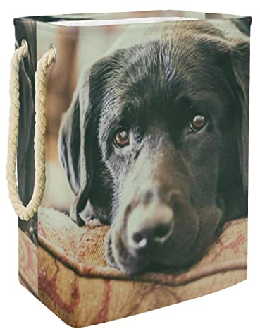 VAPOKF Maulkorb für Hunde, Labrador, zusammenklappbar, 60 l, Schwarz