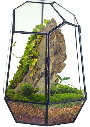 NCYP 25 cm Kleines Geometrisches Terrarium mit Tür, Schwarzer Unregelmäßiger Glas-Übertopf, Sukkulenten-Kakteen-Blumentopf, Heim-Garten-Dekoration, DIY-Geschenk (Ohne Pflanzen und Requisiten)