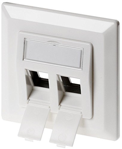 Delock Keystone Anschlussdose 2 Port