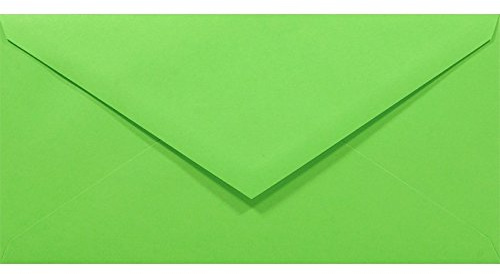 Netuno 100 Kartenumschläge Grün DIN lang 11x22 cm klassisch und stilvoll | 80g Rainbow · stilvolle grünfarbene Umschläge Farbpapier für Ostern, Frühling, Weihnachten & Einladungen