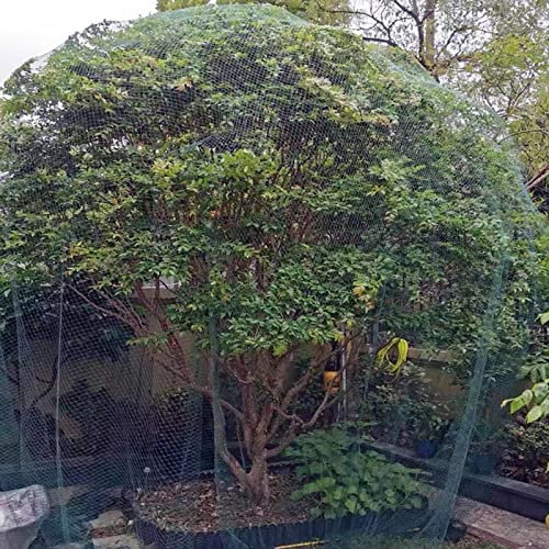 LFFH Filet Anti-Oiseaux, Filet De Jardin en Filet Tissé À Trois Brins De 0,59 X 0,59 Pouce pour Protéger Les Fruits Et Légumes des Oiseaux Et des Animaux,Blanc,5x10m