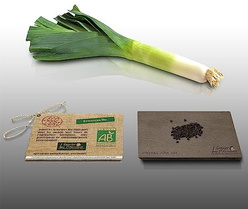 100 graines Bio à semer - Le Grenier d'Abondance - POIREAU Alto - Certifié AB - Allium Porrum