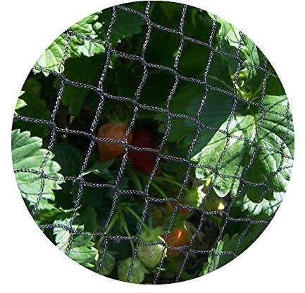 Heavy Duty Bird Soft Flexible Netting for Garden Fruit Crop Cage Protection - (6m x 5m)