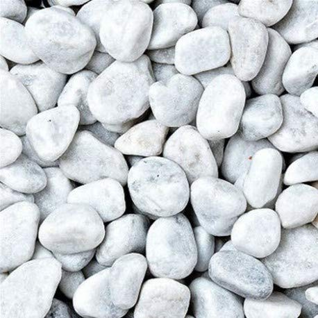 Generico 10 Sacchi da 25KG di CIOTTOLI Marmo Bianco Carrara 7/15 MM Sassi Pietre