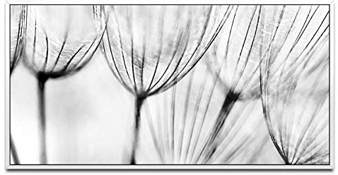 graue Blumen ca. 130x70cm Wandbild inklusive Schattenfugenrahmen weiss - Panorama Leinwand Bild XXL Format Wandbilder Wohnzimmer Wohnung Deko Kunstdrucke