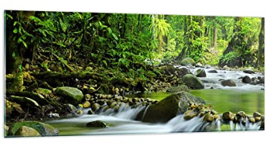 ARTTOR Bilder auf Glas 120x50cm Wandbild Glasdruck Landschaften Wald - 0174 | Strom Natur Panorama Groß Modern Dekoration Wohnzimmer Schlafzimmer Küche Wanddeko Kunstdruck Art Wall Decor ARTTOR