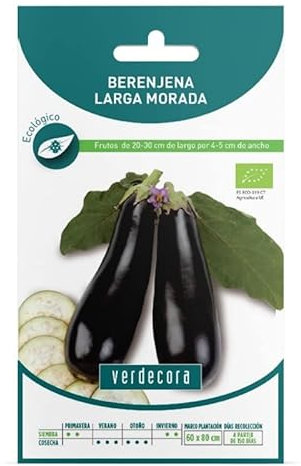 SEMILLAS ECOLOGICAS BERENJENA LARGA MORADA VERDECORA