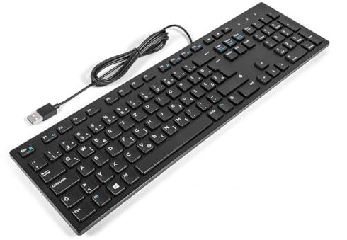 Dell KB216 SLOVENIAN Slim Office Multimedia Keyboard BLACK (Renewed)