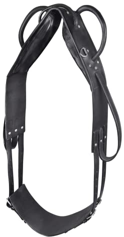 WALDHAUSEN Longier- und Voltigiergurt, WB, schwarz
