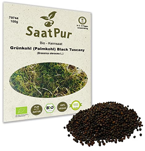 BIO Keimsprossen Grünkohl 100 g Samen für die Sprossenanzucht Sprossen Microgreen Mikrogrün