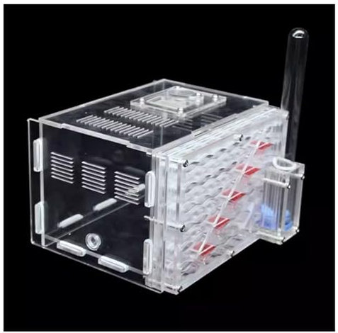 Ameisenfarm Formicarium Ökosystem Ant Castle Fütterungssystem Lebensraum Werkzeug Ant Farm Mit Hydratation Ant Nest Farm Ameisenfarm für Draußen