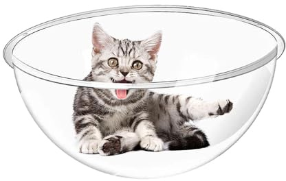 Katzenbett – Klares transparentes Wandmontiertes Nest | Moderne Tierauffang- und Aufhängeschale – gut sichtbare Raumkapsel – Kratzfeste Halterung 32 cm ideal für Katzen, Kätzchen und kleines Haustier